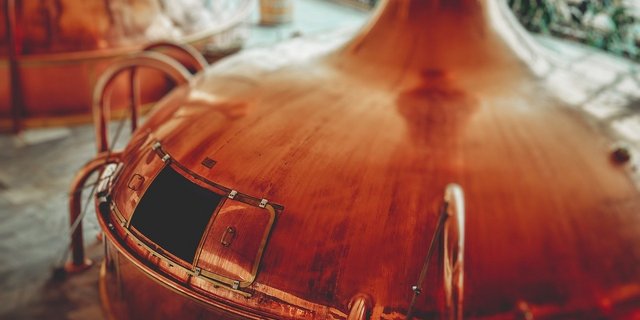 Wissenschaftler wollen herausfinden, wie man im All Gerste mälzen kann. (Bild Pixabay)