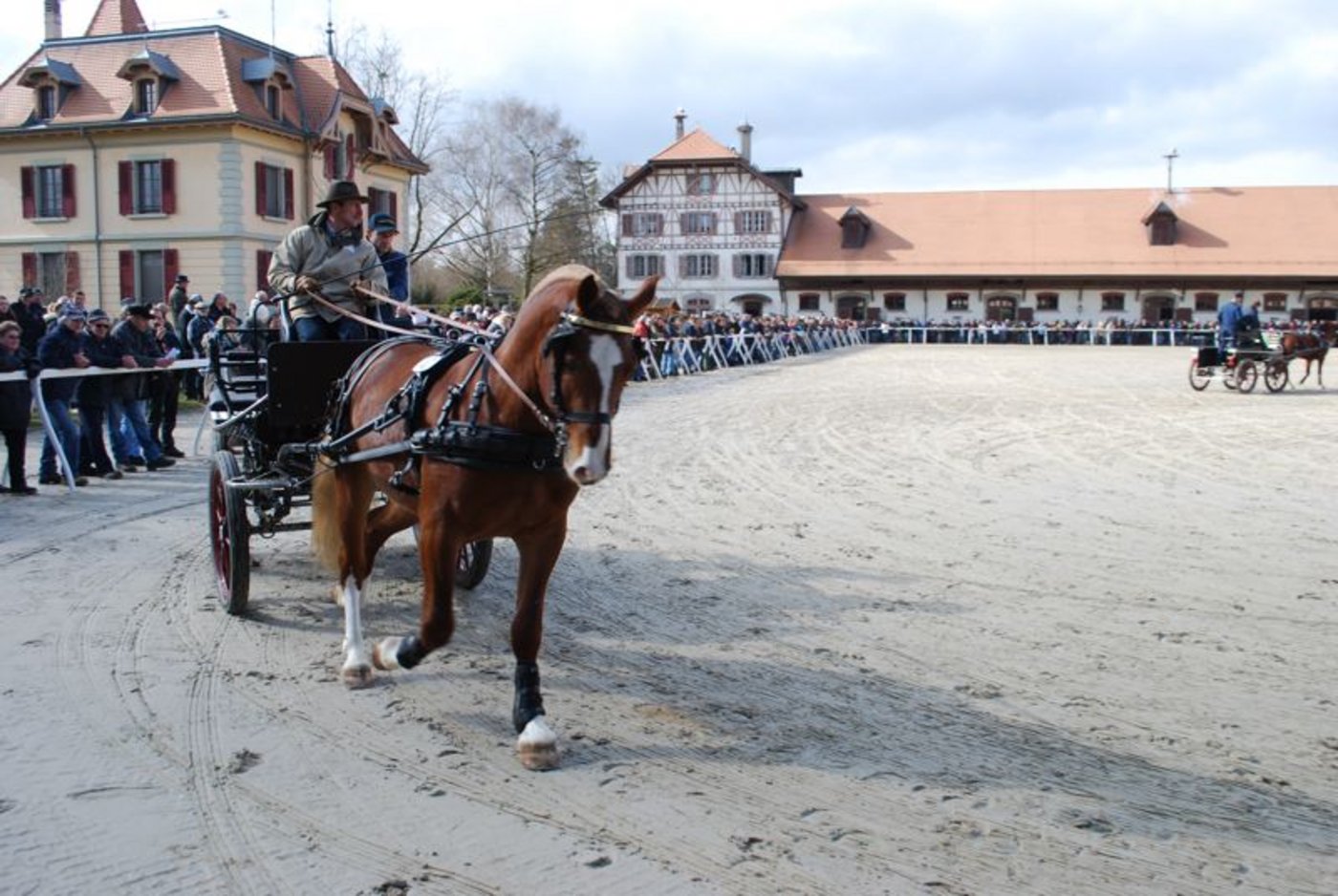 Der Verband geht von rund 3000 Besucherinnen und Besuchern aus. (Bild jsc)