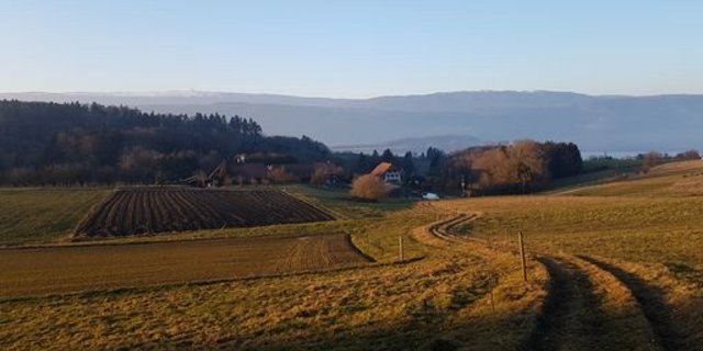Bäuerinnen und Bauern sorgen für Versorgungssicherheit. Aber alles lässt sich in der Schweiz nicht produzieren. (Bild ji)