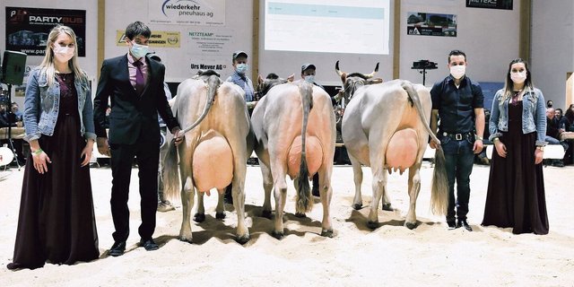 Die schönsten OB-Kühe der Lubra (von links): Champion Geraldine, die Vize Orina (beide von Thomas Bucher) und die Mention Honorable Holdria von René Stalder. 
