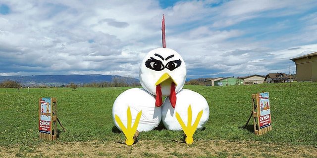 In der Westschweiz stehen bereits erste Landschaftssujets gegen die beiden Initiativen. In der Deutschschweiz sind die Feldrand-Regeln im Allgemeinen strenger. Hier darf je nach Kanton erst 6 bis 8 Wochen vor Abstimmungstermin gebaut werden. (Bild zVg)