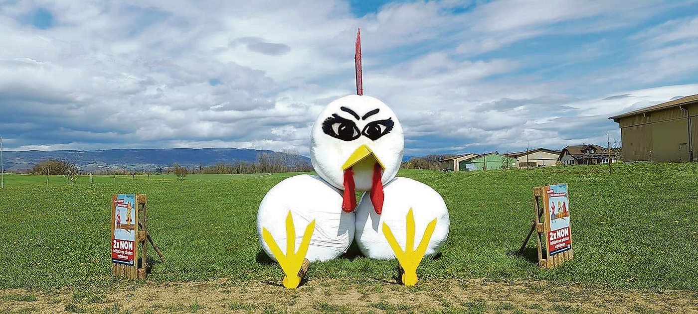 In der Westschweiz stehen bereits erste Landschaftssujets gegen die beiden Initiativen. In der Deutschschweiz sind die Feldrand-Regeln im Allgemeinen strenger. Hier darf je nach Kanton erst 6 bis 8 Wochen vor Abstimmungstermin gebaut werden. (Bild zVg)