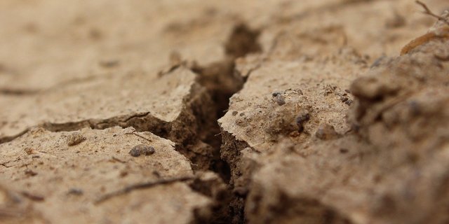 Hitze und fehlendes Wasser stellen die Landwirtschaft vor grosse Herausforderungen. Grund für die extremen Wetterereignisse der letzten Jahren seien Veränderungen des globalen Windsystems durch den Klimawandel. (Bild Klimkin / Pixabay) 