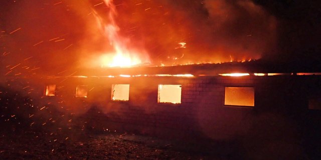 Wieder hat die Tierschutzorganisation Peta nach einem Stallbrand Anzeige gegen die Bauernfamilie erstattet. (Bild Kapo Thurgau)