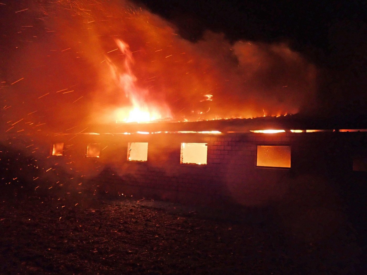 Wieder hat die Tierschutzorganisation Peta nach einem Stallbrand Anzeige gegen die Bauernfamilie erstattet. (Bild Kapo Thurgau)