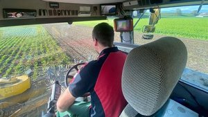 Auf dem Rübenroder: Trotz der aktuellen Flaute auf dem Weltmarkt lohnt sich der Anbau laut Schweizer Zucker AG nach wie vor.