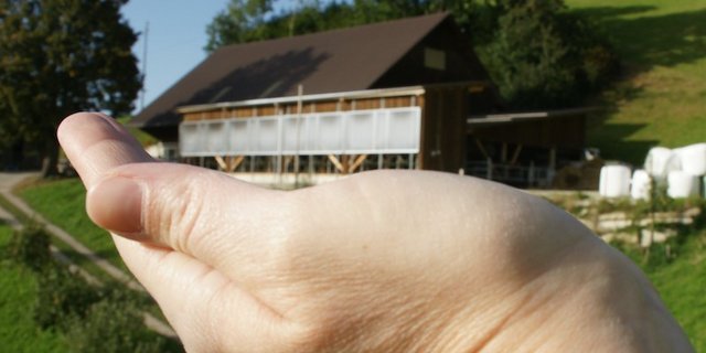 Haben Bäuerin und Bauer eine funktionierende Organisation auf dem Betrieb aufgebaut, haben sie alles im Griff. (Bild Nicole Amrein)