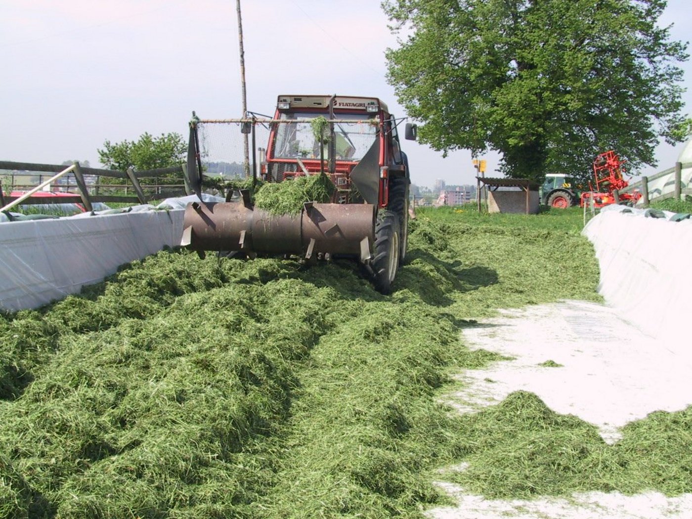 Durch das Walzen werden die Luftmengen im Schnittgut reduziert. So wird schnell ein anearober Zustand geschaffen, der Hefebildung und Nacherwärmung vermindert. (Bild Willi Gut, LBBZ Cham)