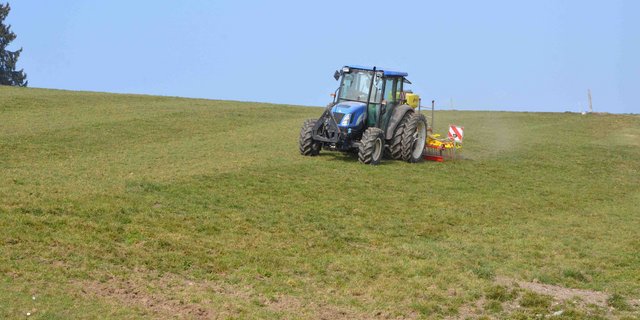 Gute Bedingungen diesen Frühling für Übersaaten im Futterbau.  (Symbolbild Aline Küenzi)