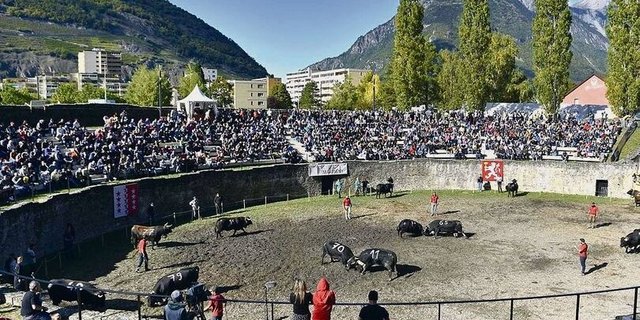 Während der Mittagspause kam es in der Arena in Martigny zu einem Protest.