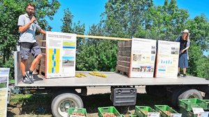 Michael Gugger (l.) von der Versuchsstation Gemüsebau Ins BE und Martina Keller von Agroscope Extension Gemüsebau erläutern ihre Ergebnisse zur Spätverunkrautung bei den Zwiebeln.