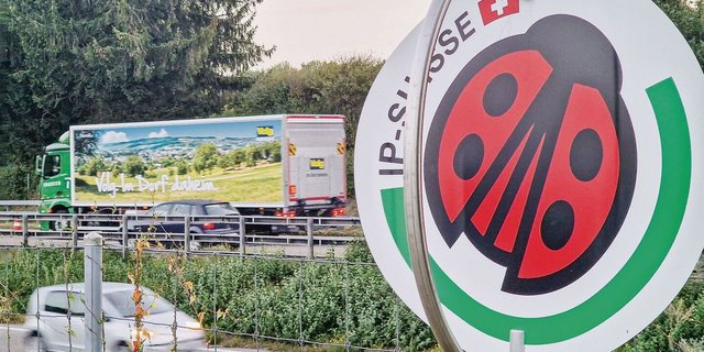 Der Käfer hat es in viele Gestelle geschafft. Beispielsweise in jene von Volg. Die zahlreichen Themenfelder und Partner bereiten Arbeit – auch für Christophe Eggenschwiler.   