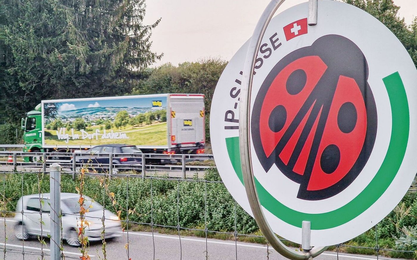 Der Käfer hat es in viele Gestelle geschafft. Beispielsweise in jene von Volg. Die zahlreichen Themenfelder und Partner bereiten Arbeit – auch für Christophe Eggenschwiler.   