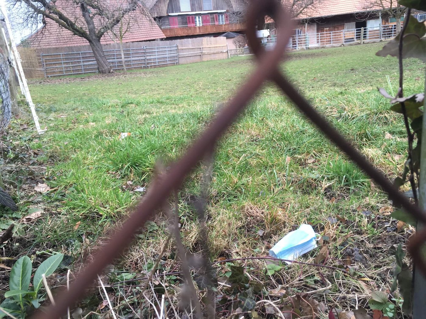 Seit im öffentlichen Verkehr und in den Läden Maskenpflicht herrscht, findet man die Einwegmundschutze überall – auch auf Weiden. (Bild jsc)