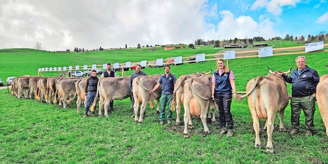 Die Familie Liver aus Flerden und ihre Helfer(innen) an der Halteprämienschau von OB-Stier Vincenzo. Total  21 Nachkommen von diesem Original-Braunvieh-Stier wurden gezeigt. 