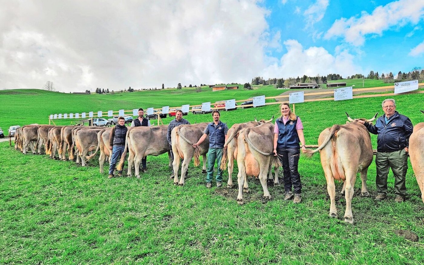 Die Familie Liver aus Flerden und ihre Helfer(innen) an der Halteprämienschau von OB-Stier Vincenzo. Total  21 Nachkommen von diesem Original-Braunvieh-Stier wurden gezeigt. 