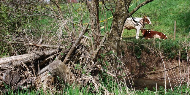 Die kommunalen oder regionalen Vernetzungsprojekte  werden durch kantonale Vernetzungsprojekte abgelöst. (Bild Archiv BauZ) 