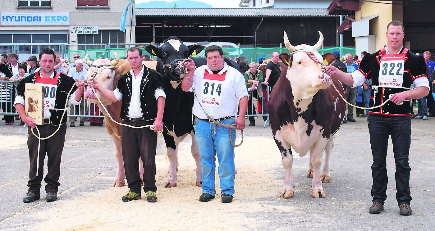 Schwingerkönig Matthias Sempach (rechts) musste Abschied von seinem geliebten Siegermuni nehmen. Nach einem Zwischenfall, bei dem eine Person verletzt wurde, gehe nun die Sicherheit vor, sagte er.. (Archivbild Peter Fankhauser)