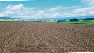 Den Mais konnte Andy Den Mais konnte Andy Jenni letzte Woche per Mulchsaat in den Boden bringen.