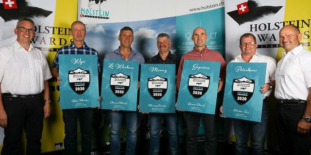 Holstein Meisterzüchter 2020. (Bild zVg)