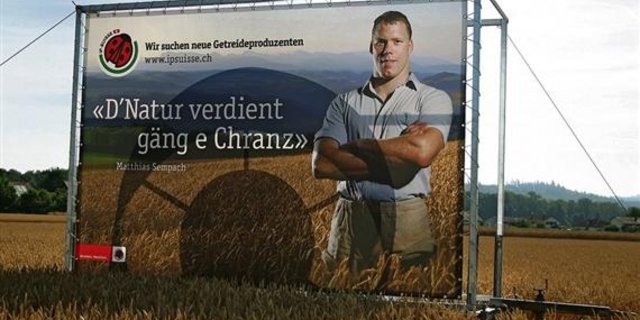 Ab sofort produzieren IP-Suisse-Landwirte herbizidfreies Getreide für Fredy Hiestand. (Bild Archiv)