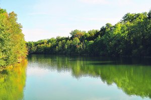 Thurrenaturierung: IG fordert Redimensionierung Hochwasser zählt im Kanton Thurgau zu den grössten Naturgefahren. Besonders gefährdet ist das Thurtal. (Bild Nadine Baumgartner)