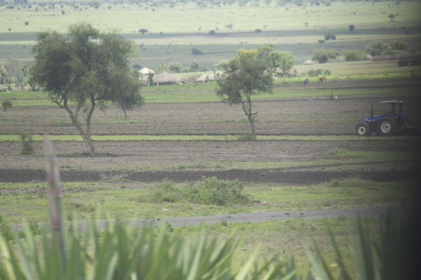 Vor besonderen Herausforderungen wegen dem Klimawandel steht die Landwirtschaft in Regionen südlich der Sahara. Hier Äcker in Tansania. (Bild: jw)