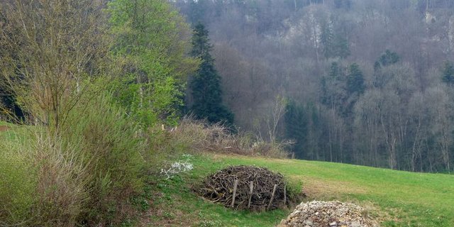 Hecken lassen sich durch Stein- und Asthaufen aufwerten. (Bild biodivers.ch)