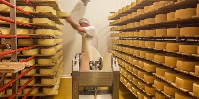 In der Käserei von Schloss Herdern wird Heumilch der Kühe des Schlossgutes zu verschiednen Milchprodukten und Qualitätskäse verarbeitet. (Bilder Schloss Herdern)