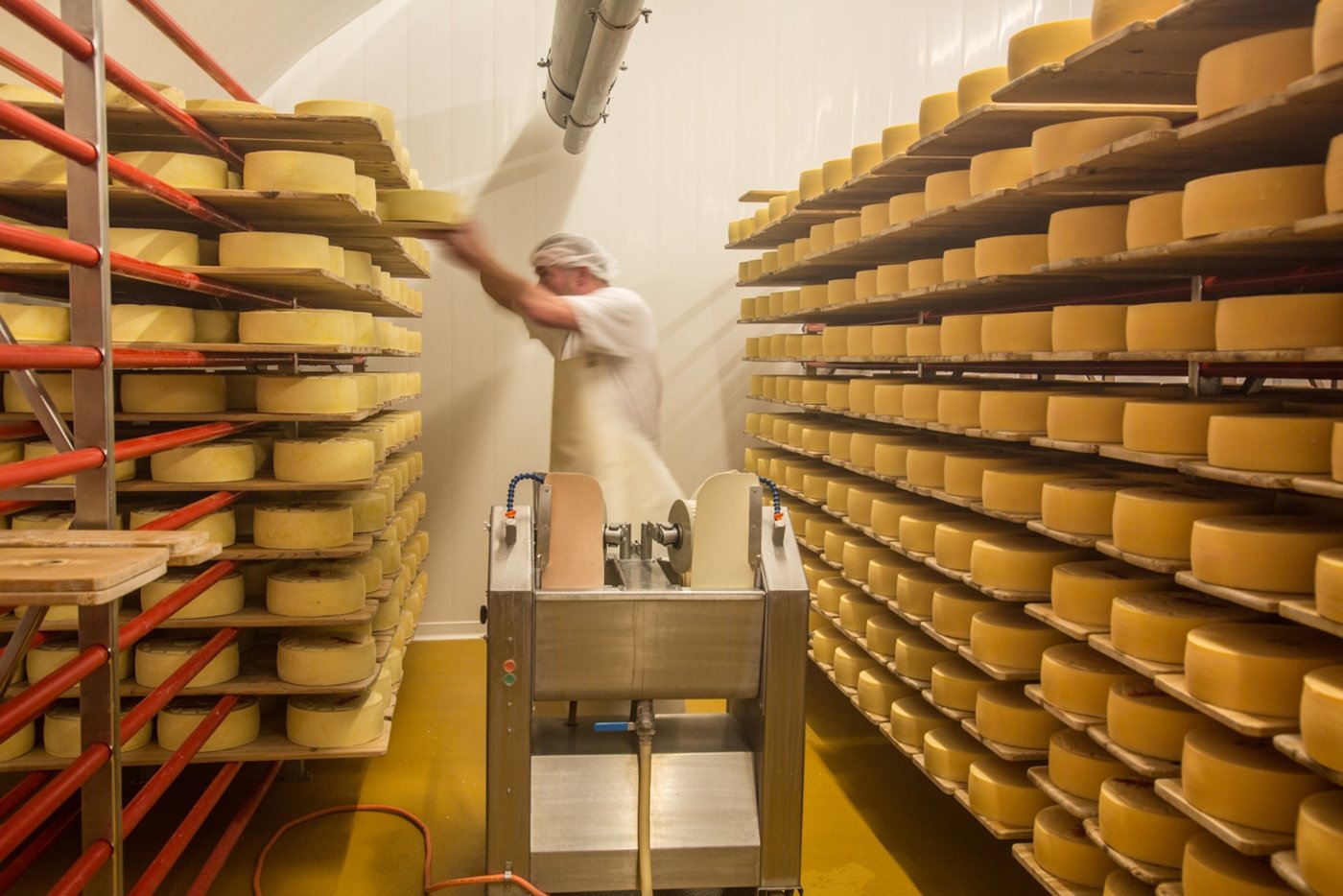 In der Käserei von Schloss Herdern wird Heumilch der Kühe des Schlossgutes zu verschiednen Milchprodukten und Qualitätskäse verarbeitet. (Bilder Schloss Herdern)