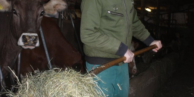 Christian Galliker aus Beromünster setzt auf produzierende Landwirtschaft.