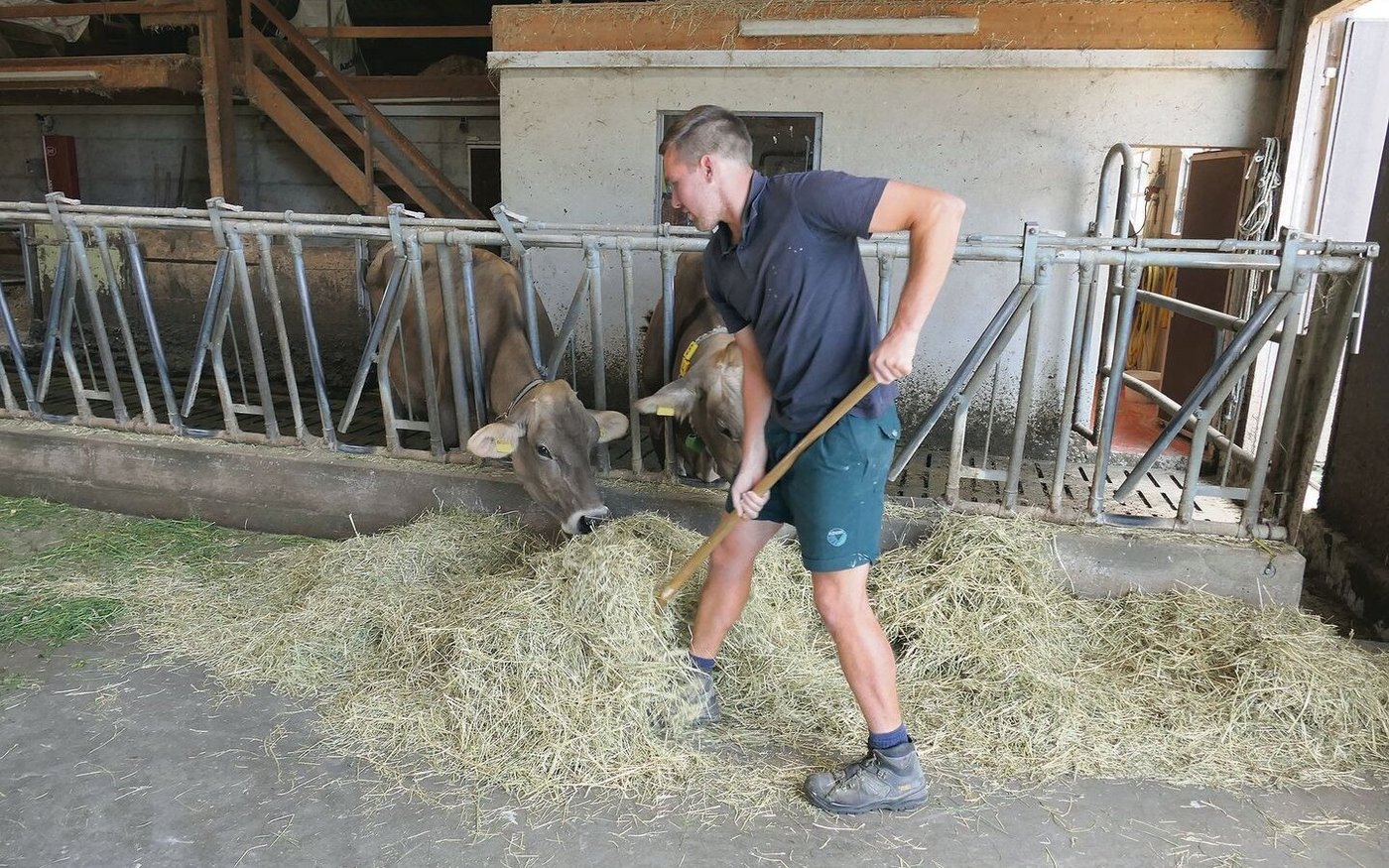 Eine stressfreie Stallatmosphäre ist Oliver Vogt wichtig. 
