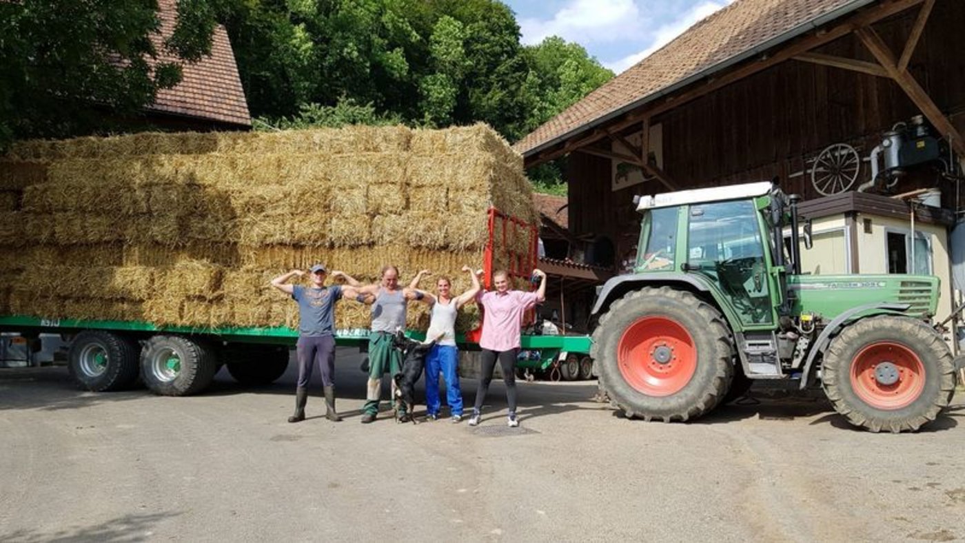 Landdiensteinsätze sind für Jugendliche zwischen 14 und 24 Jahren offen und können in allen Landesteilen absolviert werden. (Bild Agriviva)