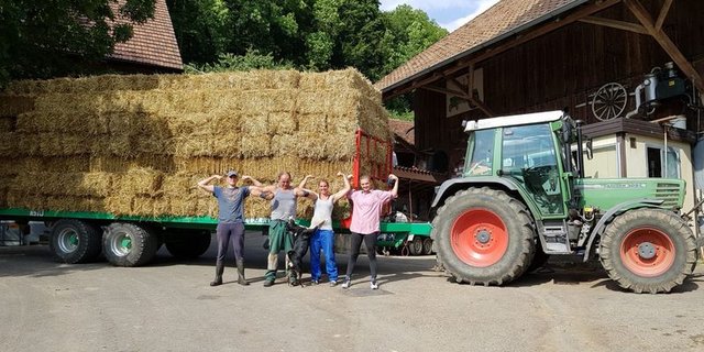 Landdiensteinsätze sind für Jugendliche zwischen 14 und 24 Jahren offen und können in allen Landesteilen absolviert werden. (Bild Agriviva)