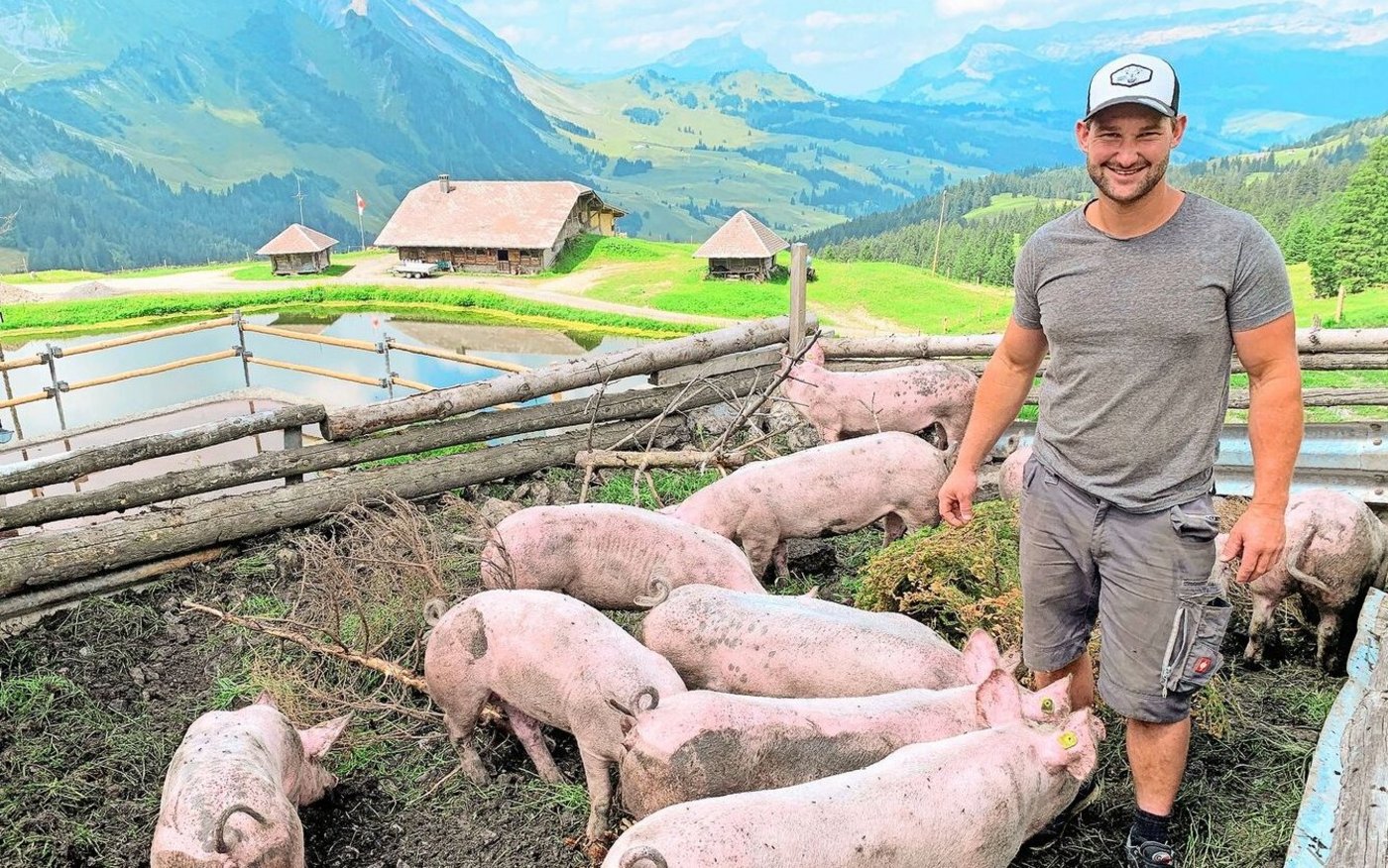 Stefan Eberli mit den Alpschweinen auf der Jänzimatt. Weil er auch Pflanzenkohle zur Geruchsreduktion einstreut, sind die Tiere teils schwarz gefärbt. 