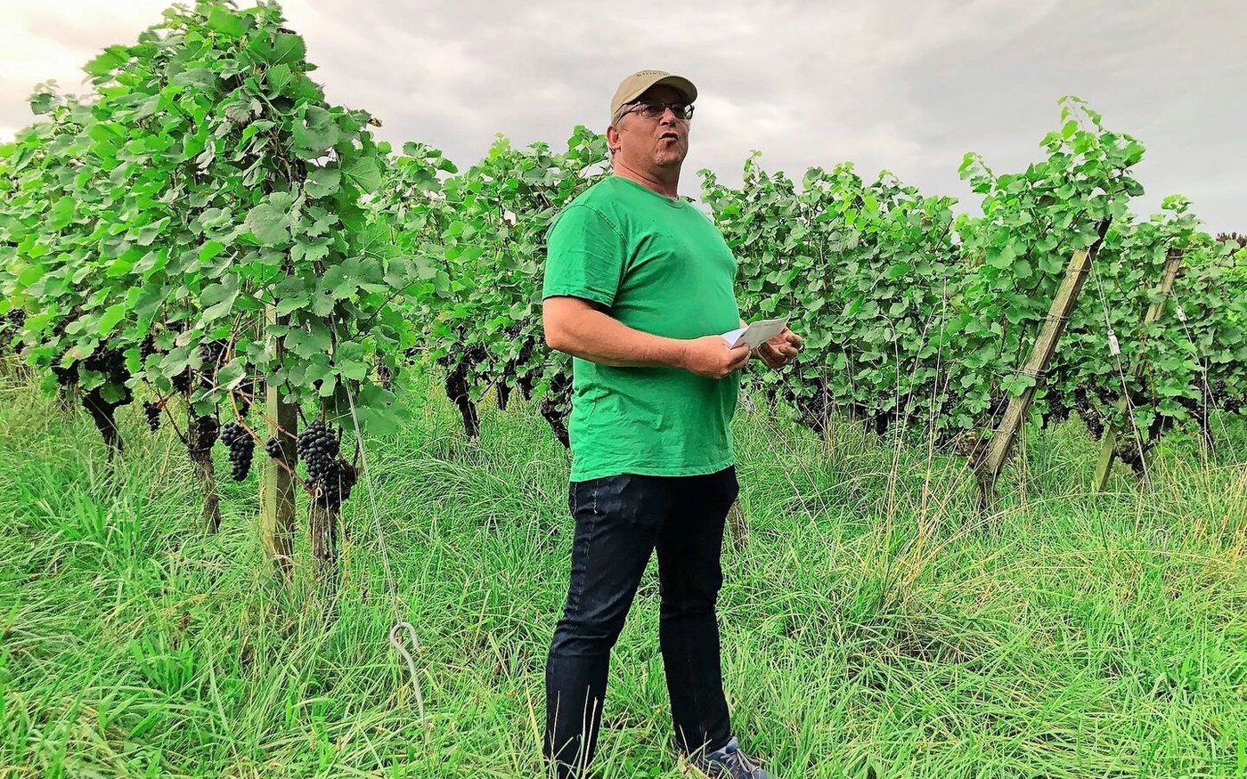 Der Winzer Urs Rinklin gab im Weinberg Einblicke in seinen Arbeitsalltag nahe der Landesgrenze und darüber hinaus. Bei der Reifung der Trauben will er möglichst wenig eingreifen.  