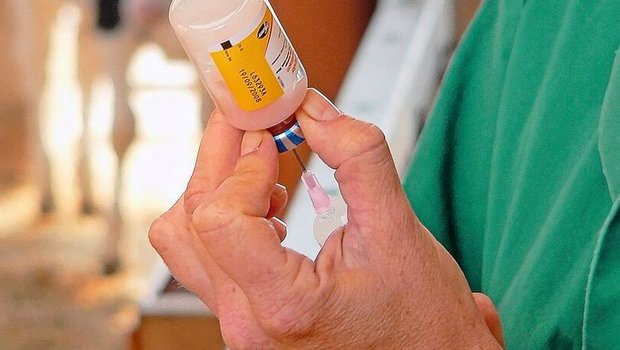 Das Zulassungssystem für TAM beruhe auf einer Fehlannahme, bemängeln die Schweizer Tierärzte.