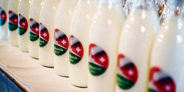 Pünktlich zur Lancierung stehen sie parat: die Milchflaschen mit dem Logo des Grünen Teppichs darauf.(Bild hja)