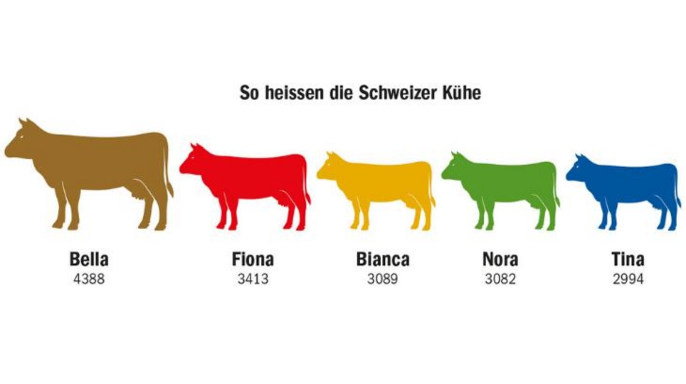 Bella ist in der Schweiz der beliebteste Name für weibliche Rinder. 4388 Kühe (Stichdatum: 31. März 2021) hören auf diesen Namen. Auf Rang 2 folgt Fiona. (Grafik dr/Quelle LID)