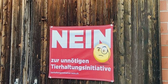 Solche Fahnen sollen im Kanton Luzern nicht zulässig sein, wenn sie länger als sechs Wochen vor einer Abstimmung hängen.