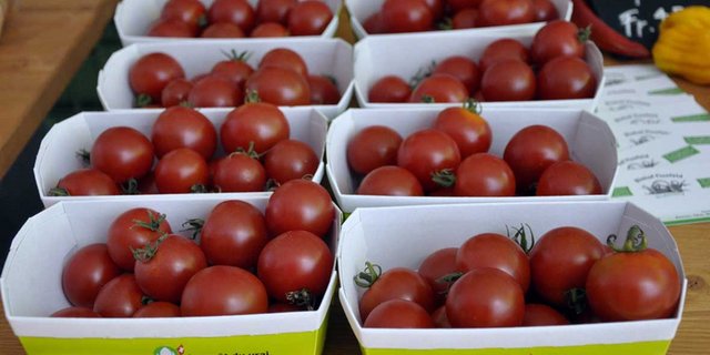 Bio-Gemüse wie Tomaten verkauft sich gut. (Bild Bio Suisse)