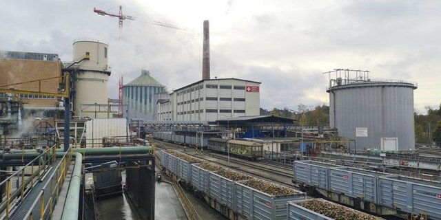 Im vergangenen Jahr drückte der tiefe Weltmarktpreis das Ergebnis der SZU und die Rübenpflanzer hatten mit der Virösen Vergilbung und dem Syndorme Basse Richesse zu kämpfen. (Bild lid)