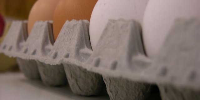 Der Eierkonsum läuft zurzeit auf hohem Niveau. (Bild: BauZ)