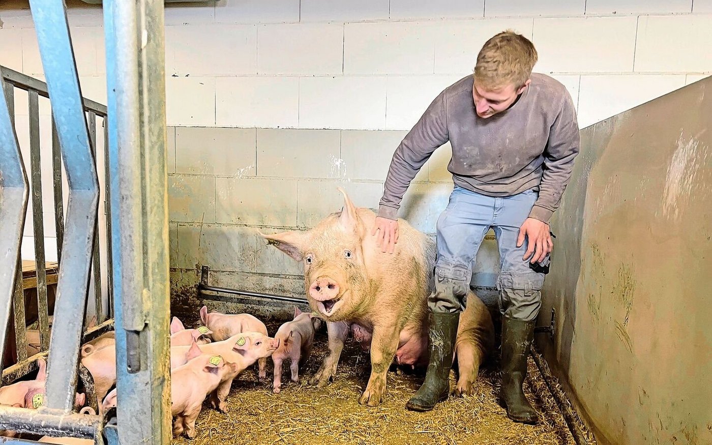 Glück im Stall: Für die UFA-2000-Betriebe war 2024 ein gutes Jahr.