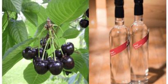 Mit den politischen Neuerungen wird der Herkunftsschutz im Ausland vereinfacht werden, z.B. für den Zuger Kirsch AOP. (Bilder AOP-IGP)