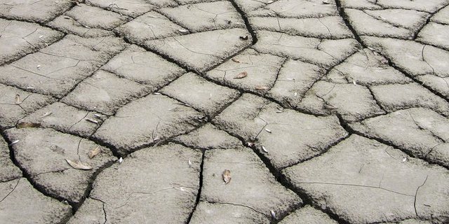 In Zukunft drohen längere und häufigere Dürren, die grössere Gebiete vor allem Zentraleuropas betreffen. (Bild Pixabay)
