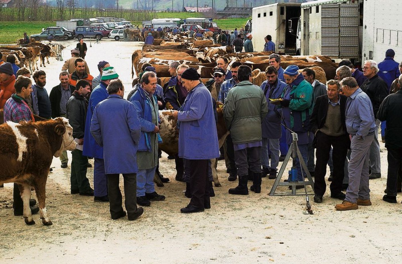 Proviande will nach dem 30. Juni nichts mehr zahlen an die Kälbermärkte, und es gibt auch kein Importkontingent mehr für Kälberkäufe auf Märkten. Die Organisatoren wollen Märkte aber doch nicht sterben lassen. (Bild BauZ)