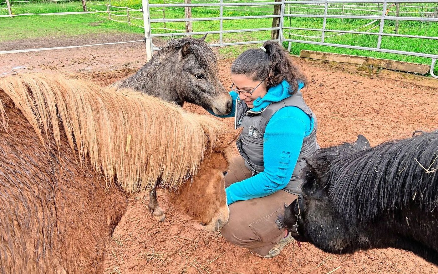 Die Pferde und Ponys sind eine Herzensangelegenheit: Esther Hürlimann reitet von Kindesbeinen an.