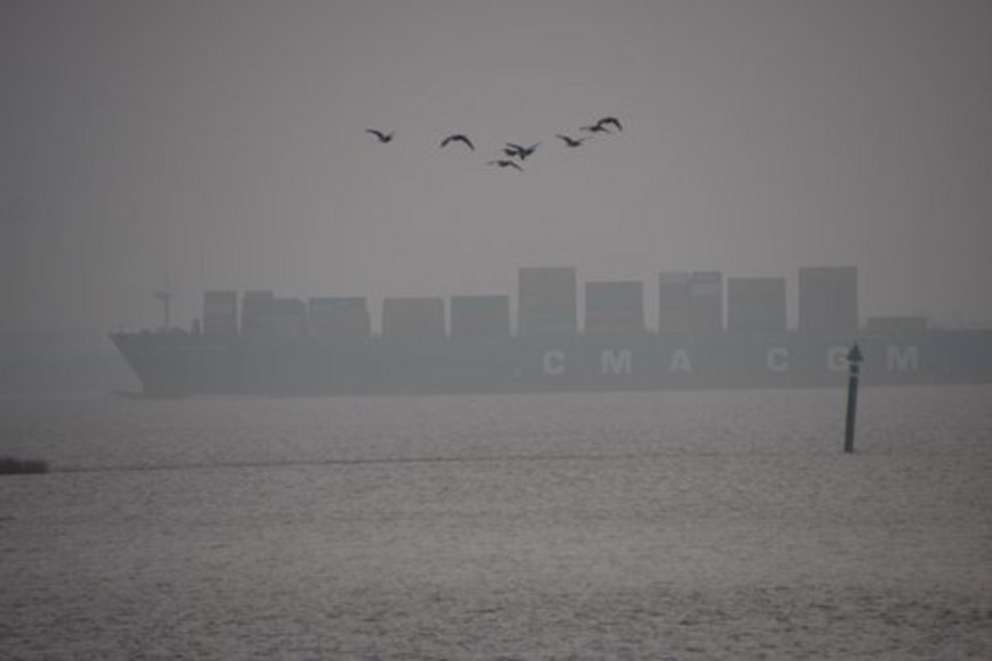 Der globale Handel könne die Ernährungssicherheit gefährden, so die Sals. (Bild Jonas Ingold)