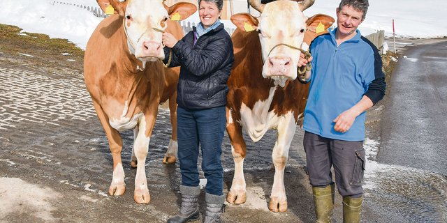 Anita und Johann von Grünigen mit zwei ihrer Top-Kühe: Achill Torina (links) stammt von der legendären Omega ab und rechts die zwölfjährige Silvan Kenia. (Bilder Peter Fankhauser)